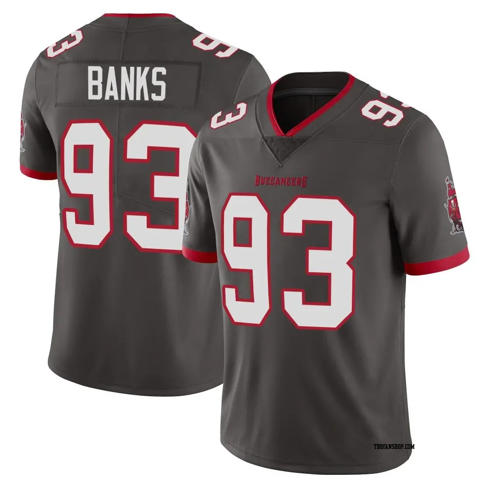 Limited Youth Eric Banks Tampa Bay Buccaneers Pewter Alternate Vapor Jersey